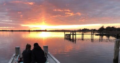 Odense Fjord samarbejde skal give nyt liv til fjorden